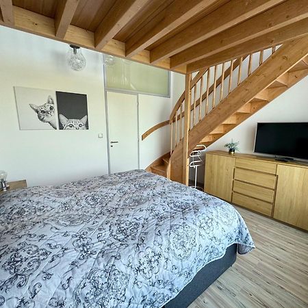 Loučná pod Klínovcem Miky Apartman Klinovec Garden מראה חיצוני תמונה